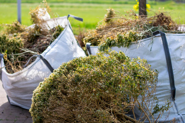 Best Junk Removal and Recycling  in Windsor, VA